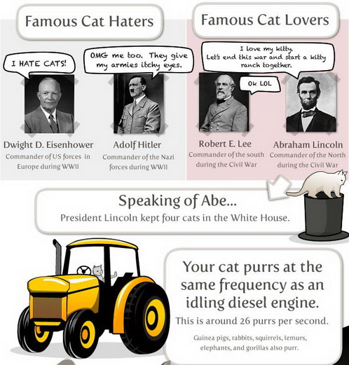 cat_facts_05